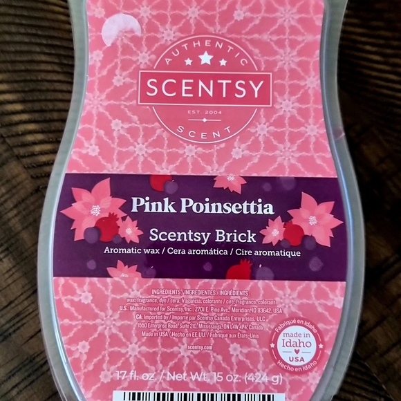 Scentsy BRICK BUNDLE ~ 5 Bricks Warm Winter Nights, Holly Jolly Cider..... - Picture 10 of 11